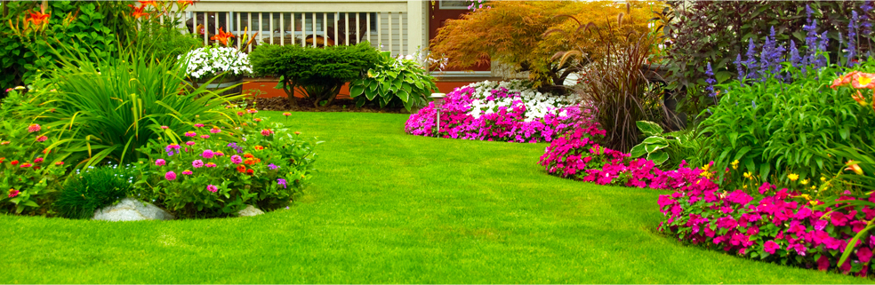 Chris Nichols Landscaping 301 831, Landscaping Companies In Gaithersburg Md